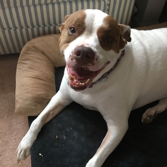 Meet your Posher, Jennifer - Picture 2 of 9